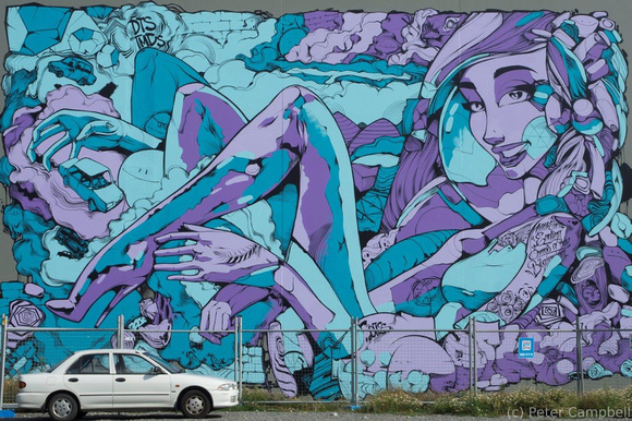 Street Art, Wellington, NZ