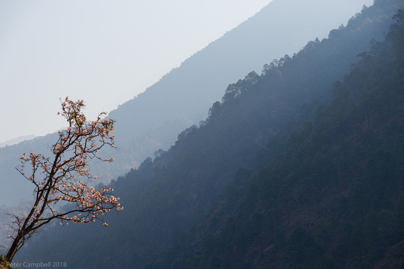 Above Bhote Khosi near Medo