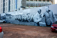 Darwin 2021 (Street Art)