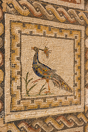 Old Roman bird I