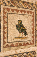 Old Roman bird II