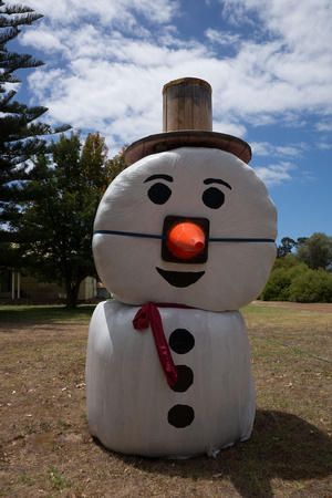 Hay Mr Snowman