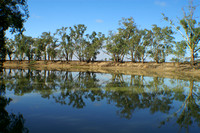 Murray River, near Echuca, Victoria