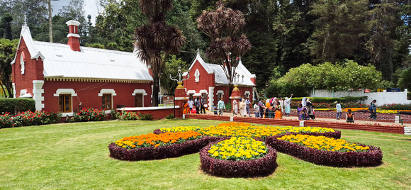 Government Botanical Garden, Ooty